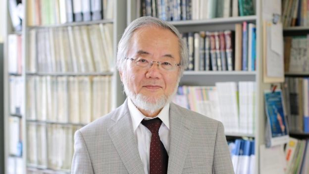 揭開斷食的秘密，獲得諾貝爾獎，原來細胞會「自己吃自己」讓身體變超乾淨！