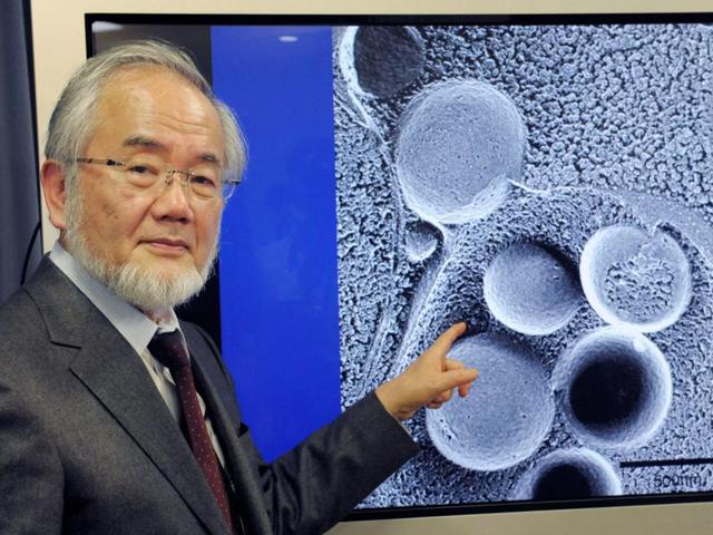 揭開斷食的秘密，獲得諾貝爾獎，原來細胞會「自己吃自己」讓身體變超乾淨！
